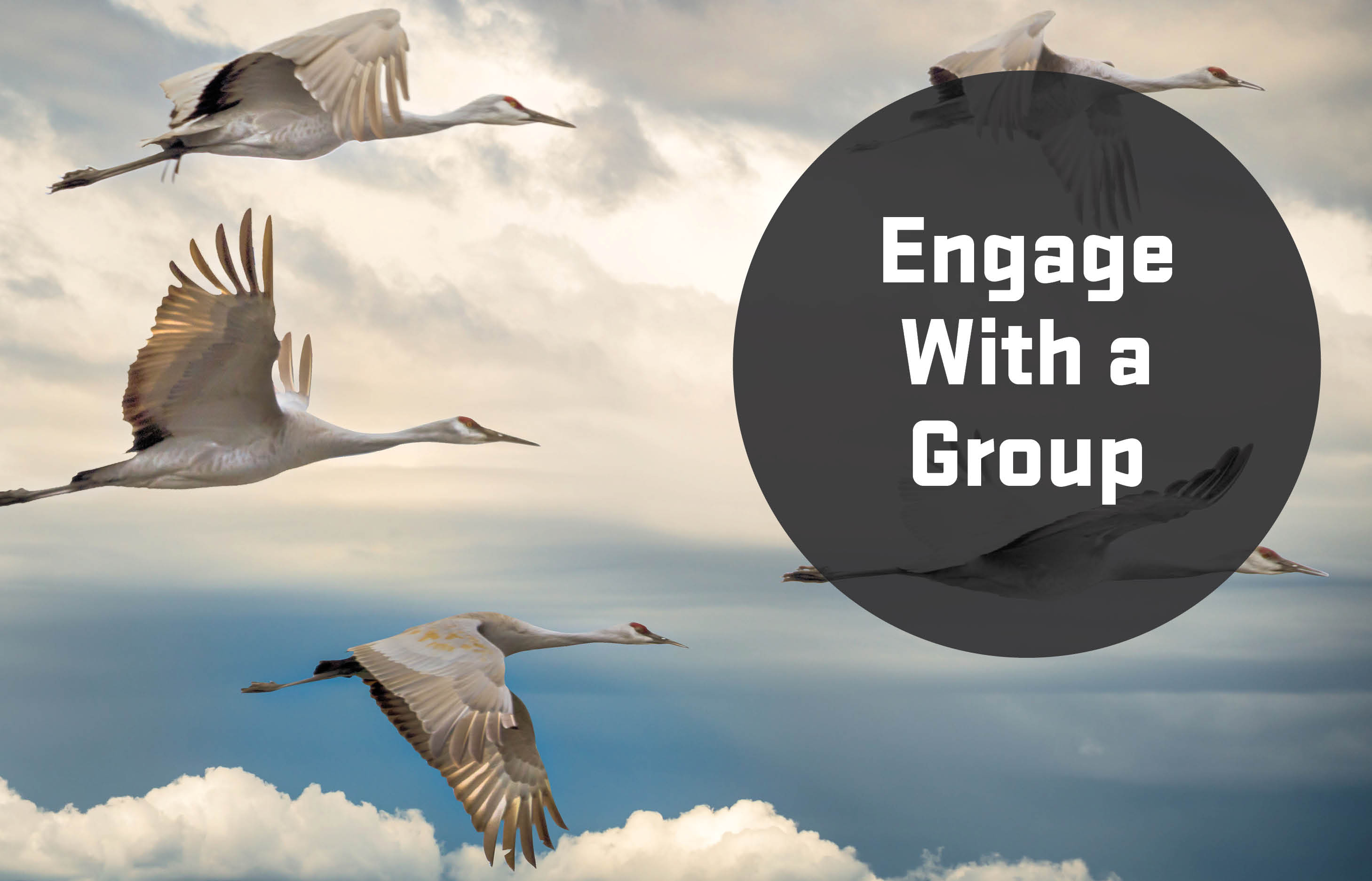 Engage With a Group