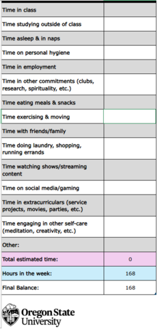 Time Budget