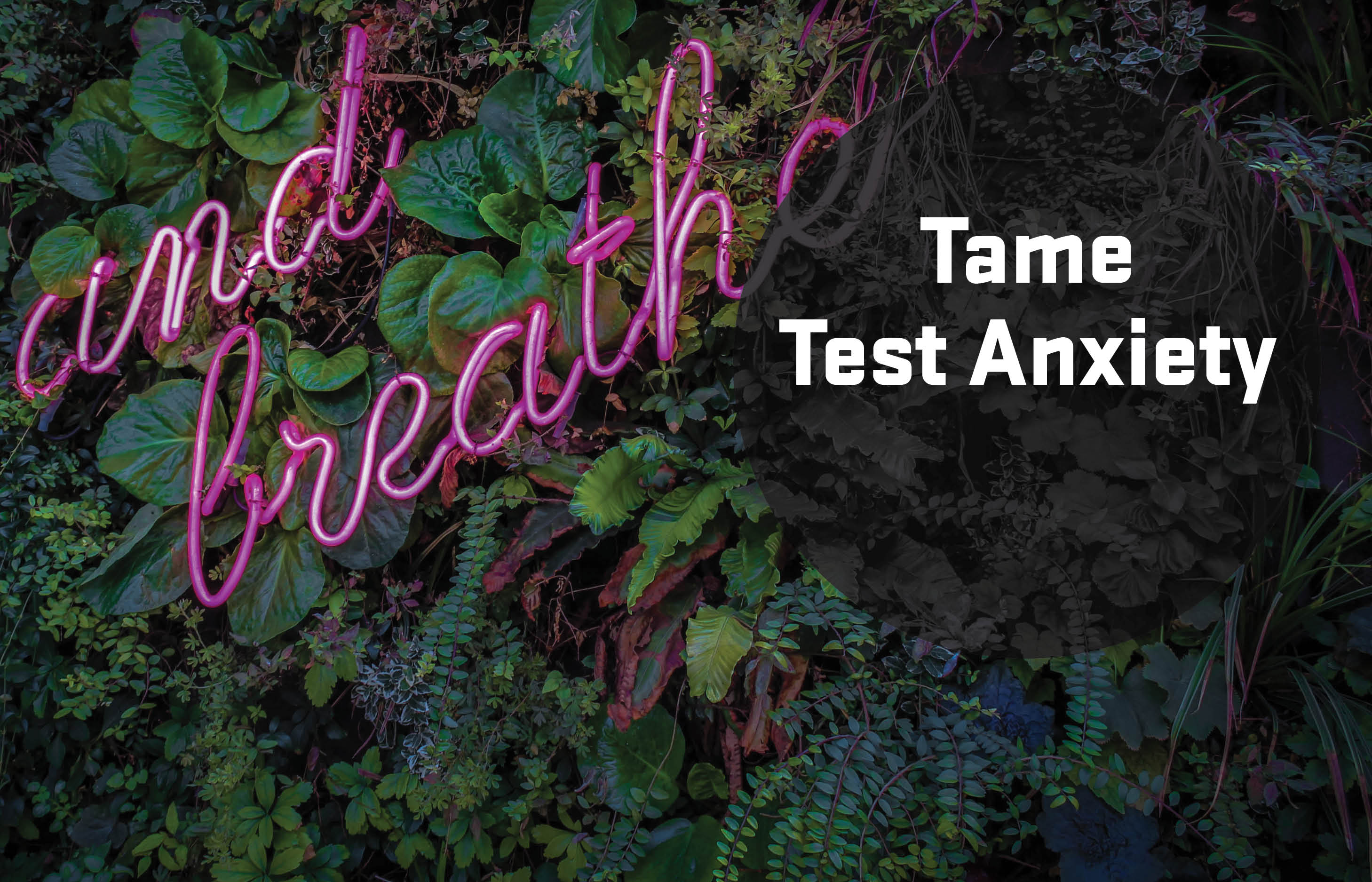taming test anxiety